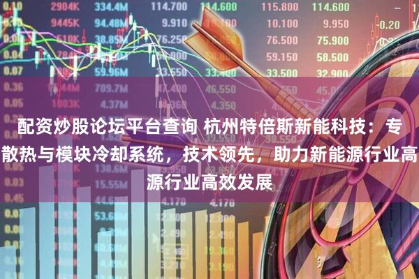 配资炒股论坛平台查询 杭州特倍斯新能科技：专注超充散热与模块冷却系统，技术领先，助力新能源行业高效发展