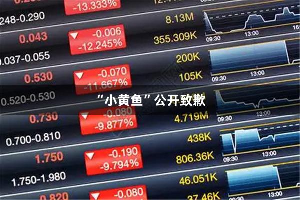 “小黄鱼”公开致歉