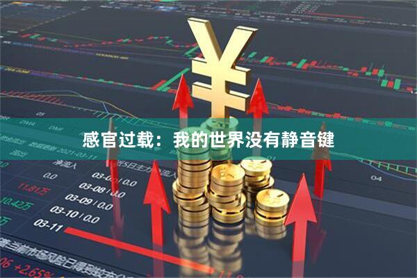 感官过载：我的世界没有静音键